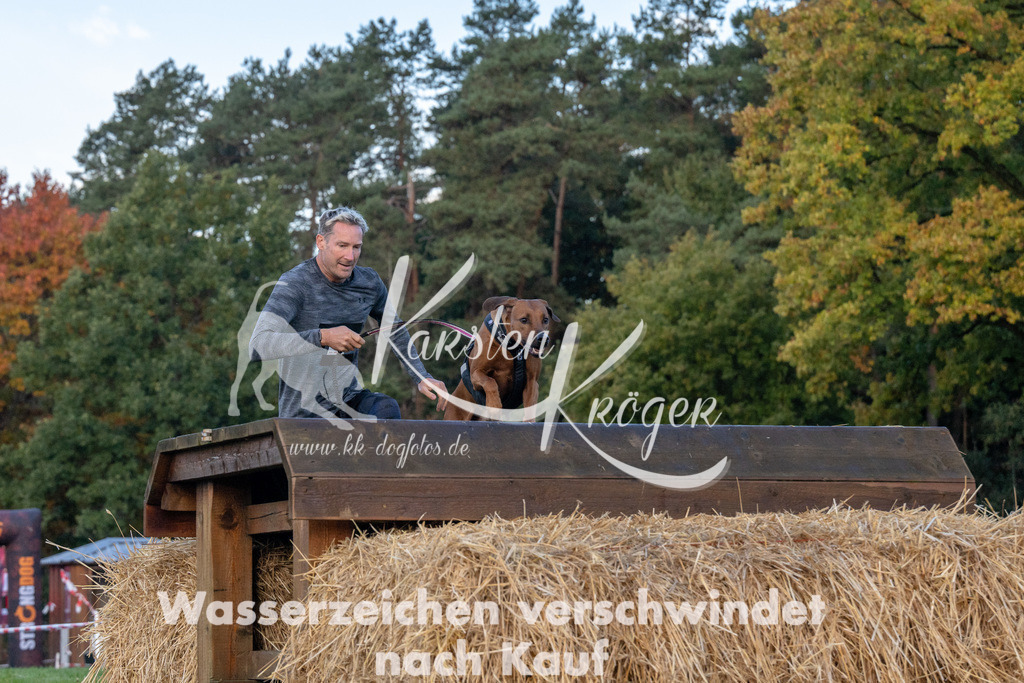 0845_ZZ91306 | kk-dogfotos