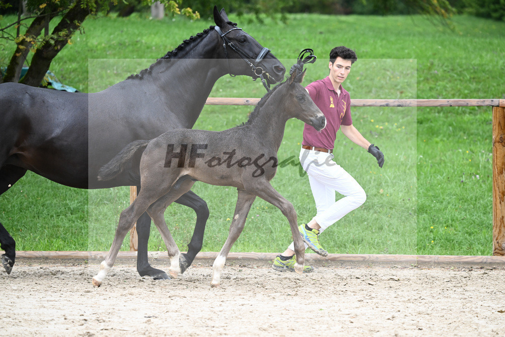 Kat-Nr. 34 HF Secret_Herrmann_25230219 | hf-fotografie - Realisiert mit Pictrs.com