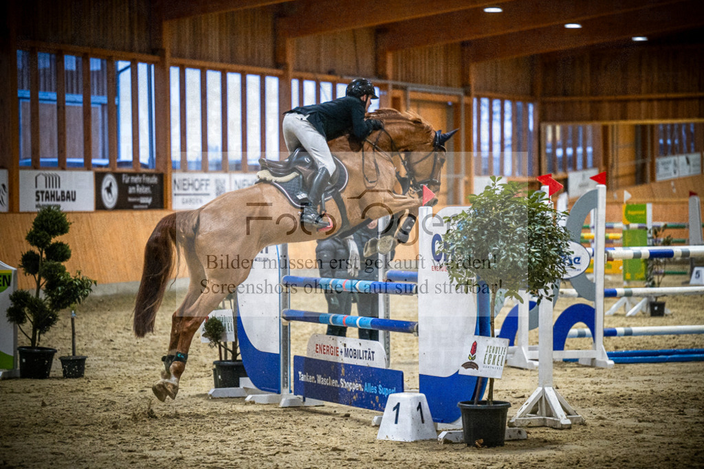 DOS_2861 | Entdecke hochwertige Reitturnierfotos von Foto Oger. Professionell, emotional und authentisch – jetzt Lieblingsmomente im Shop bestellen.Deutschlandweite Turnierfotografie. - Realisiert mit Pictrs.com