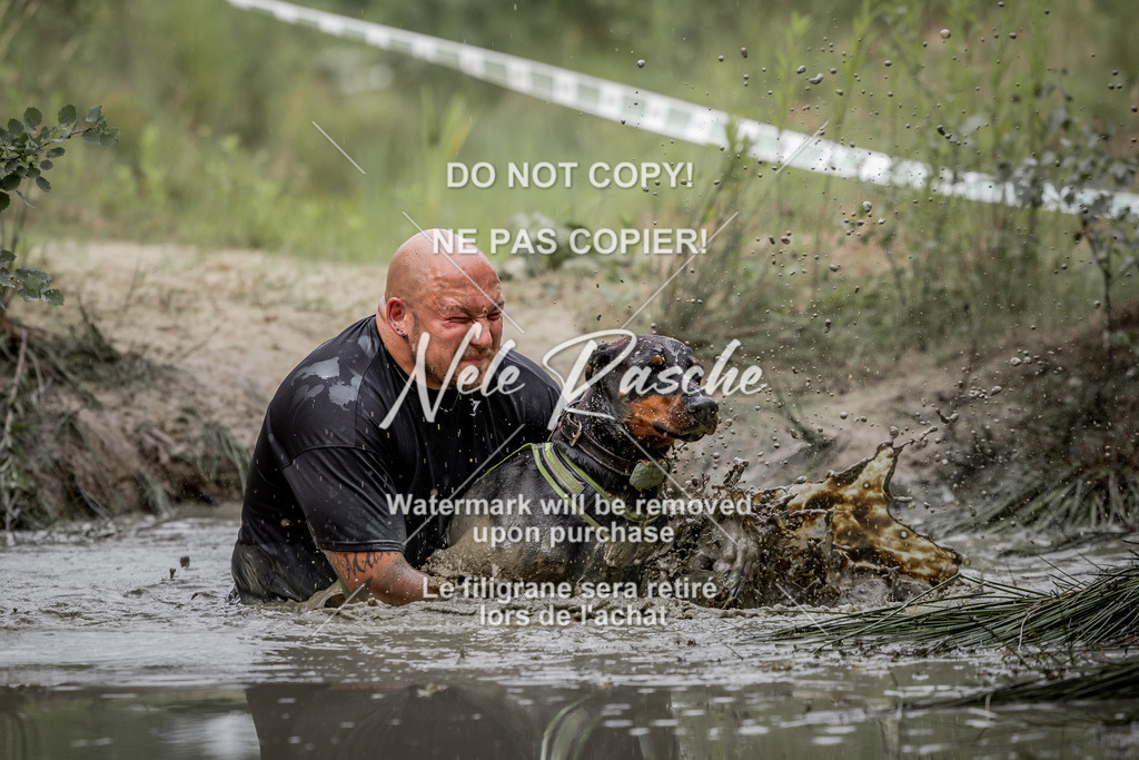 nelerasche_so0800-0930_379 | nelerasche