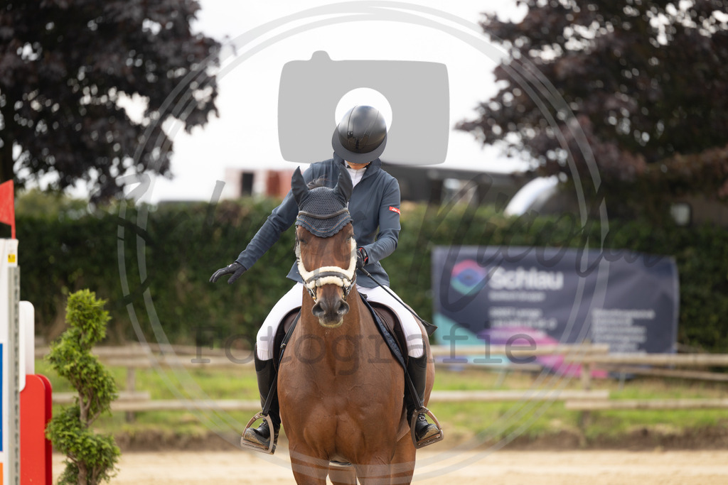 994A7817 | sabrinanicolaifotografie - Realisiert mit Pictrs.com