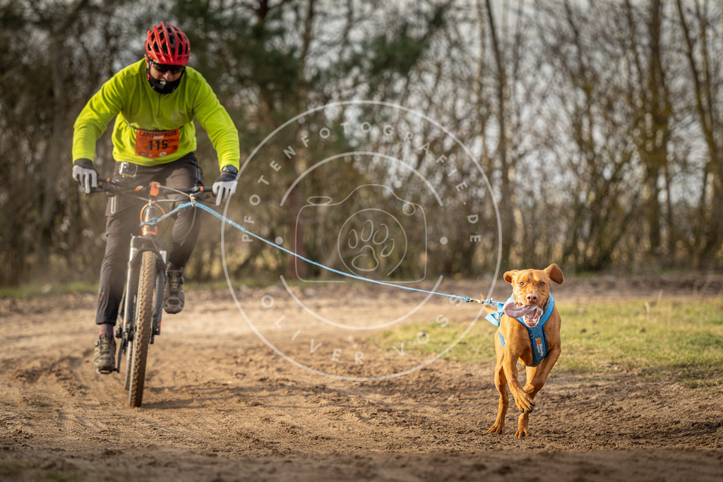 Pfotenfotografie_DV3A8479 | Hundefotografie, Tierfotograf, Pfotenfotografie, Fotoshooting Hund, Hunde Portrait, Hundesport, Hundeportraits, Heideshooting, Hunde, Sportfotograf, Hundefotograf, Turnierhundsport, THS,  - Realisiert mit Pictrs.com
