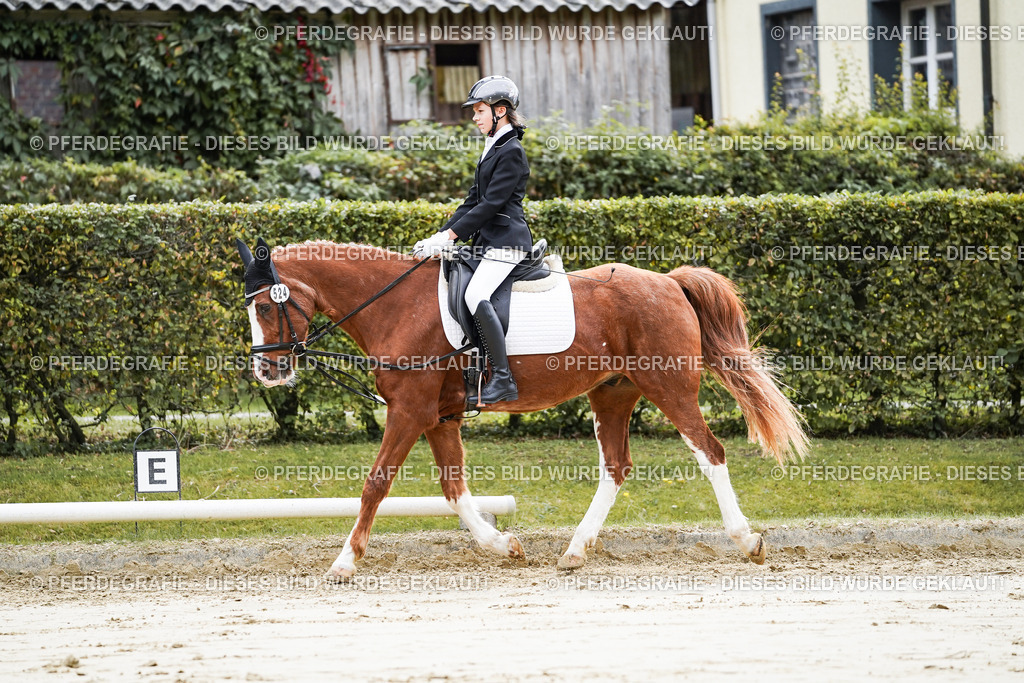 DSC05127 | Pferdegrafie