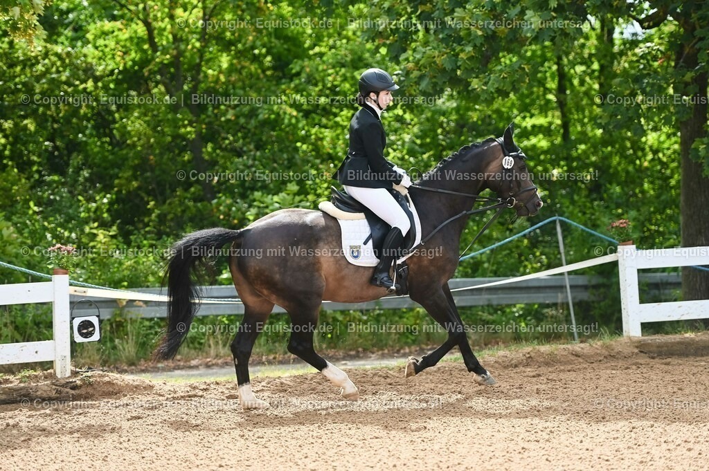 20230716_10-1_Reiter-WB Schritt - Trab - Galopp_0130 | equistock