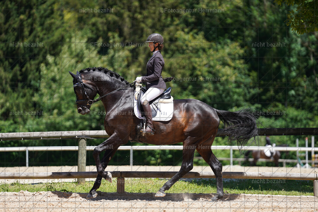 20240705-FAH03658 | Turnierbilder von Grafing, Reitsportbilder, Turnierfotos, Turnierfotografen Bayern, Pferdefotograf, Fotoagentur Herrmann