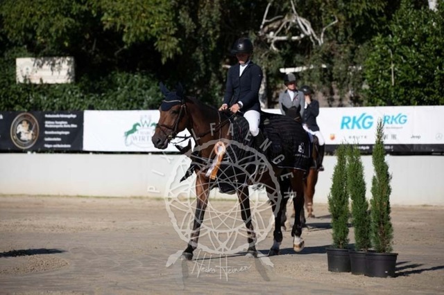 2B4A0703 | pixelfaenger - Realisiert mit Pictrs.com