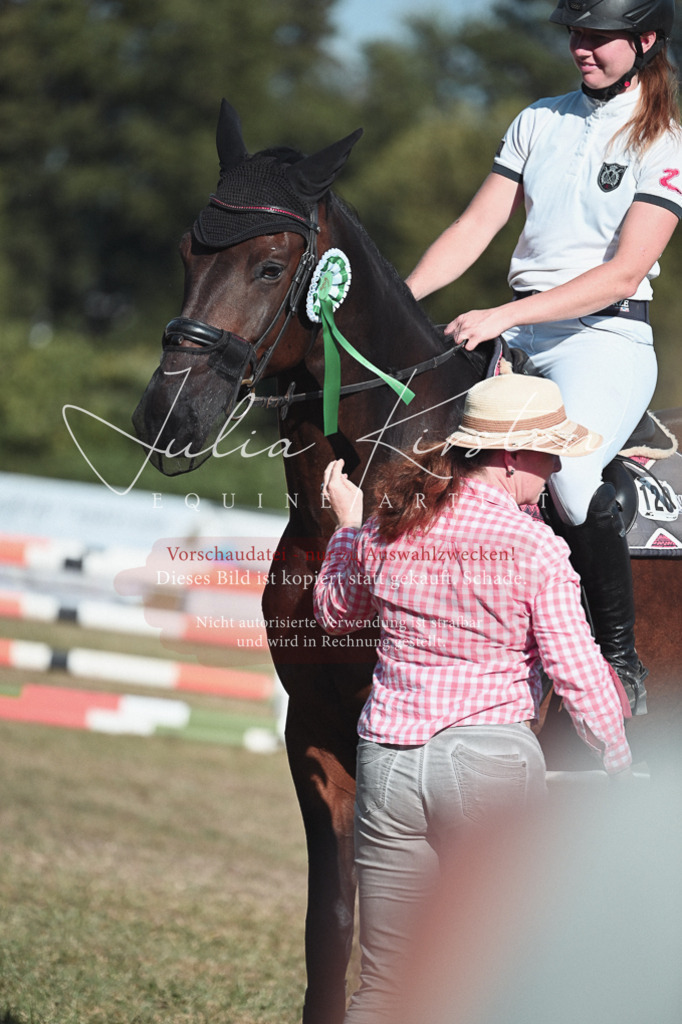 DSC_8859 | Pferde- und Turnierfotografie in Westsachsen. Pferdeportraits, Auftragszeichnungen und intuitive Kunst.