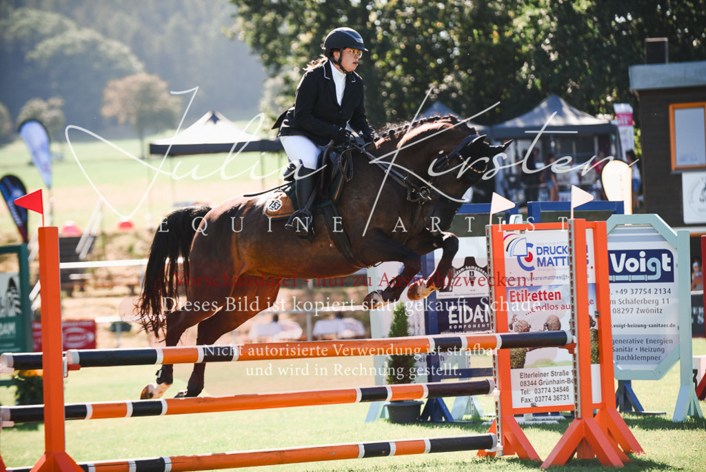 DSC_2526 | Pferde- und Turnierfotografie in Westsachsen. Pferdeportraits, Auftragszeichnungen und intuitive Kunst.