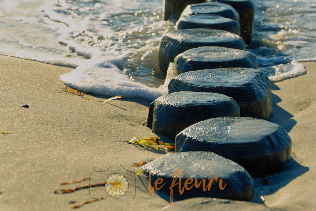 Nochmal Buhnen | Dies ist der Shop von Florian Blum - le fleuri. Langenthal, Bern, Schweiz. Sie können hier meine oder ihre eigenen Fotos als Fotoprodukte kaufen. Tassen, Schlüsselanhänger, Taschen etc. können Sie hier gestalten.  - Realisiert mit Pictrs.com