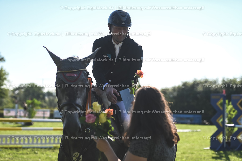 20230908_14-15_Springpferde-A_0127 | equistock