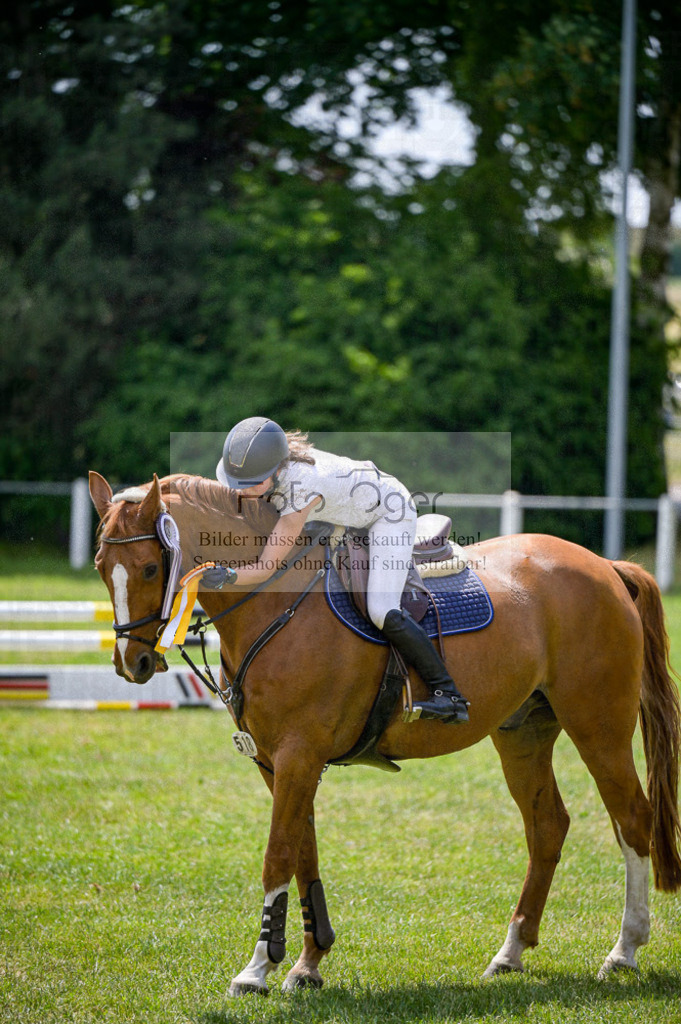 Reitturnier Voxtrup | Entdecke hochwertige Reitturnierfotos von Foto Oger. Professionell, emotional und authentisch – jetzt Lieblingsmomente im Shop bestellen.Deutschlandweite Turnierfotografie. - Realisiert mit Pictrs.com