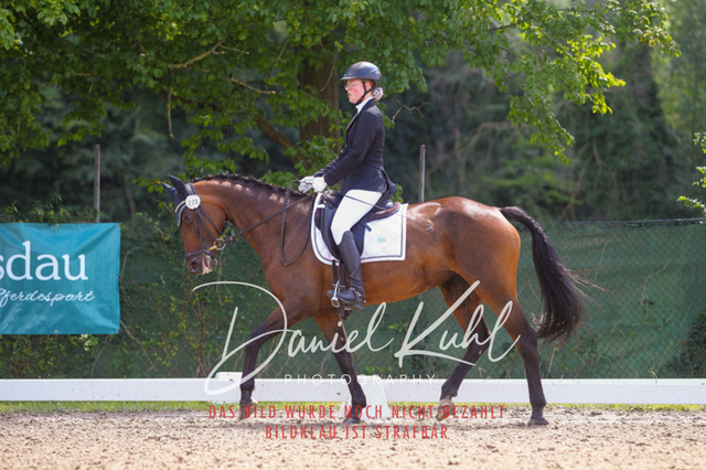 DKP42443 | Turniersportfotografie; Pferdefotografie; Dressurfotografie