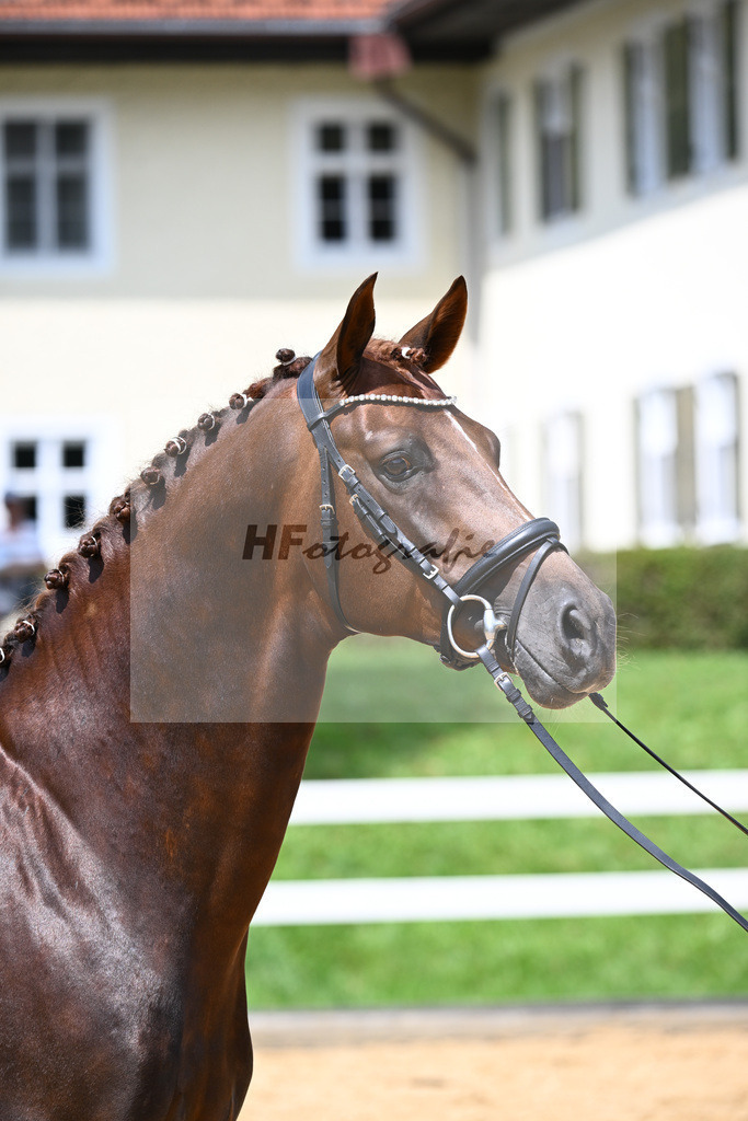 Valenziano_27140750 | hf-fotografie - Realisiert mit Pictrs.com