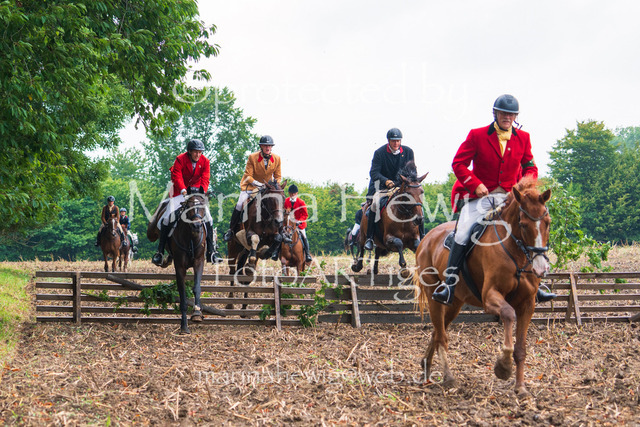 Jagd Kletkamp 26-03060_MarinaHewig | Fotografie, FotoArt, PferdesportArt, Pferdesportfotografie, Landschaftsfotografie, Reisefotografie, Reise, Pferde - Realisiert mit Pictrs.com
