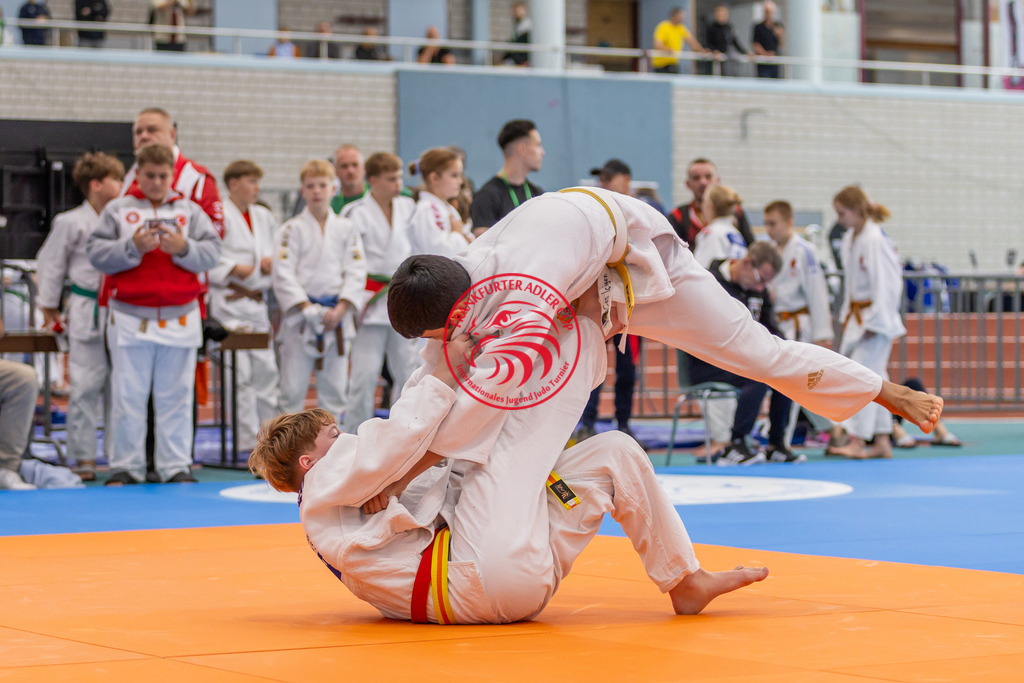Internationaler Adler Cup 2024 | Foto vom Internationalen Adler Cup Judo Turnier im Sport- und Freizeitzentrum Kalbach im Oktober 2024 - Realisiert mit Pictrs.com