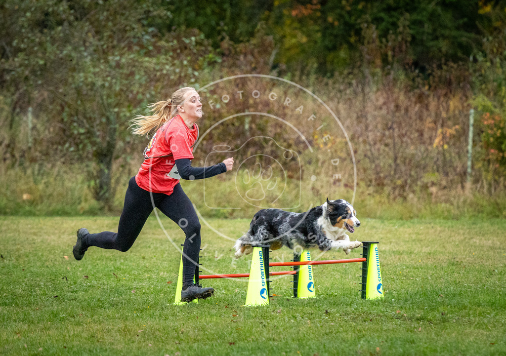 Pfotenfotografie_DV3A1558 | Hundefotografie, Tierfotograf, Pfotenfotografie, Fotoshooting Hund, Hunde Portrait, Hundesport, Hundeportraits, Heideshooting, Hunde, Sportfotograf, Hundefotograf, Turnierhundsport, THS,  - Realisiert mit Pictrs.com