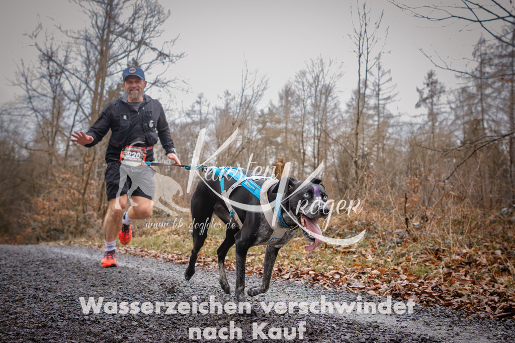 1024_ZZ95569 | kk-dogfotos