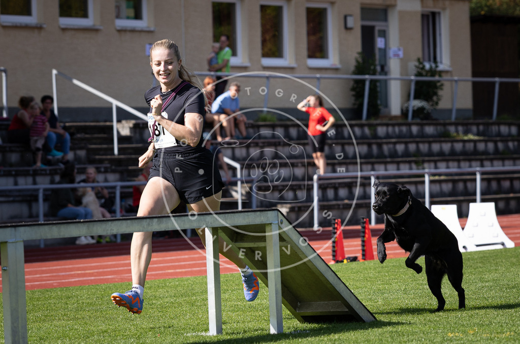 Pfotenfotografie_DV3A0441 | Hundefotografie, Tierfotograf, Pfotenfotografie, Fotoshooting Hund, Hunde Portrait, Hundesport, Hundeportraits, Heideshooting, Hunde, Sportfotograf, Hundefotograf, Turnierhundsport, THS,  - Realisiert mit Pictrs.com