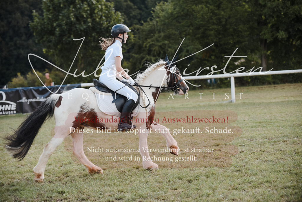 DSC_5366 | Pferde- und Turnierfotografie in Westsachsen. Pferdeportraits, Auftragszeichnungen und intuitive Kunst.