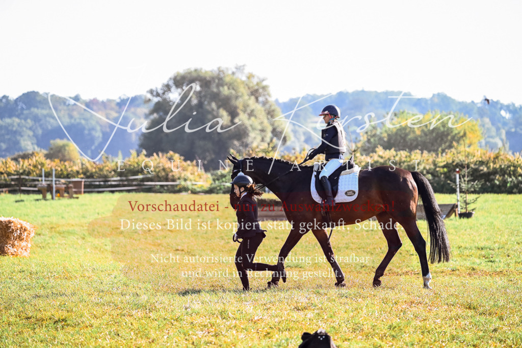 DSC_0249 | Pferde- und Turnierfotografie in Westsachsen. Pferdeportraits, Auftragszeichnungen und intuitive Kunst.