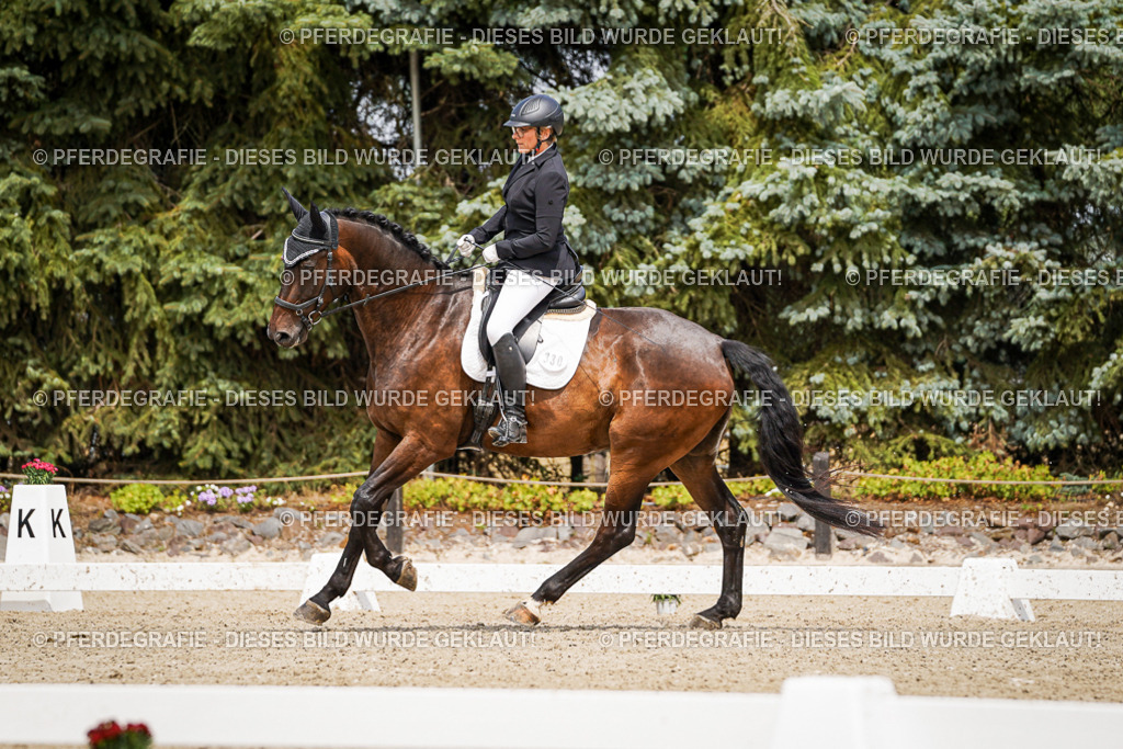 DSC03669 | Pferdegrafie