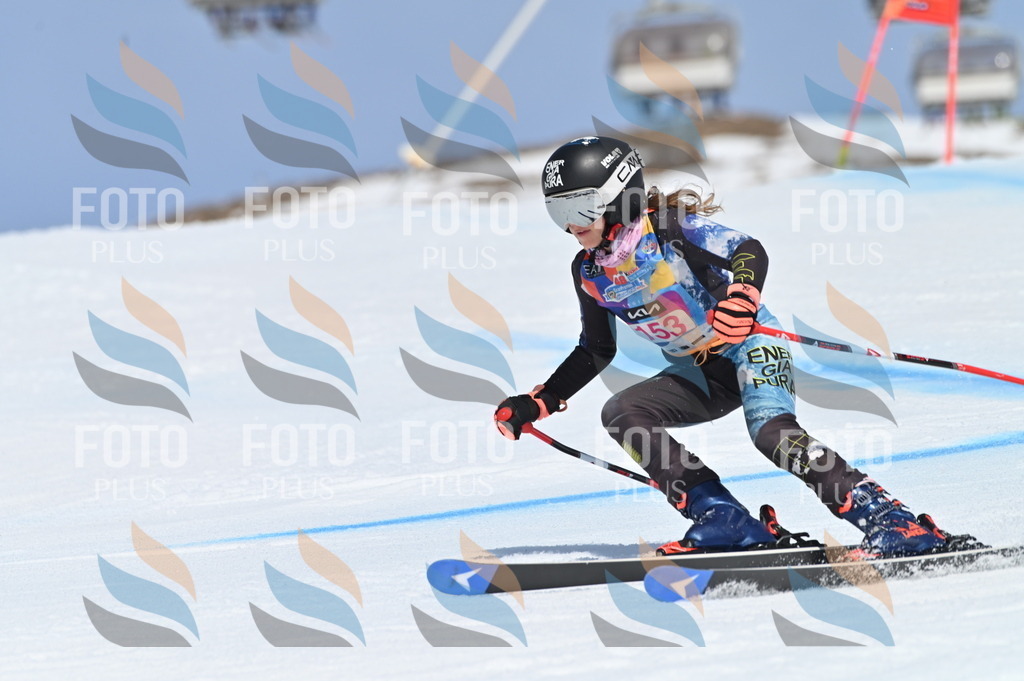 BGV_0108 | holidayphoto