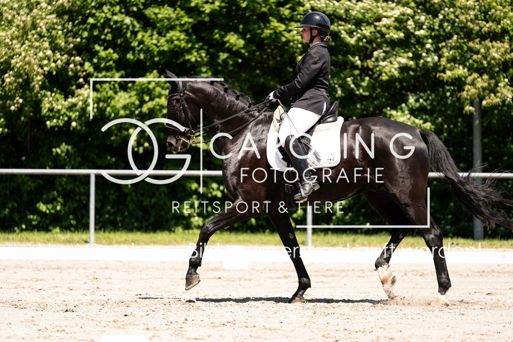 DSC00216 | Carolin Gieschke