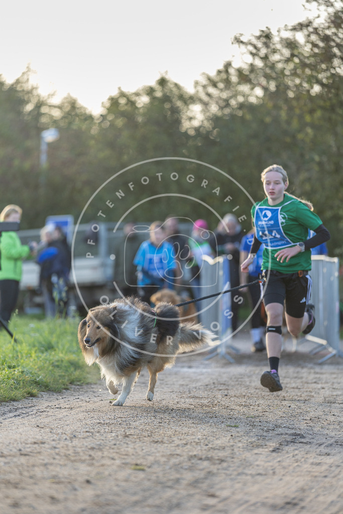 Pfotenfotografie.de_DV3A2489 | Hundefotografie, Tierfotograf, Pfotenfotografie, Fotoshooting Hund, Hunde Portrait, Hundesport, Hundeportraits, Heideshooting, Hunde, Sportfotograf, Hundefotograf, Turnierhundsport, THS, canicross - Realisiert mit Pictrs.com