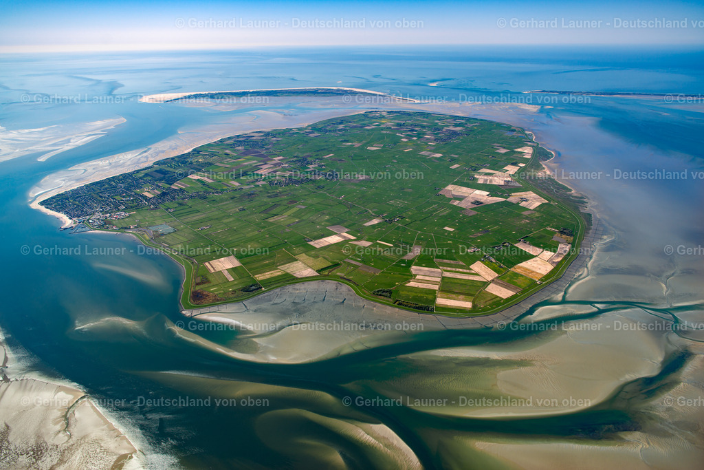 3801708 | Föhr, Nationalpark Schleswig-Holsteinisches Wattenmeer