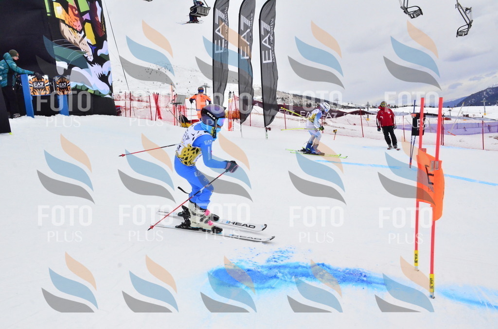 _ELE4141 | holidayphoto