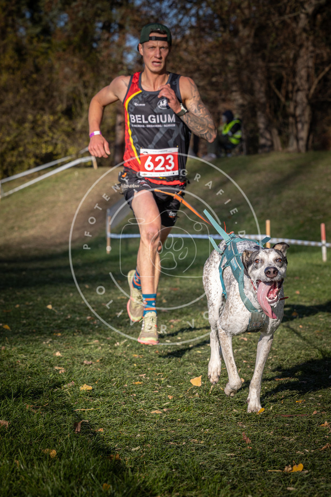 CaniXpix_0L8A8813 | Hundefotografie, Tierfotograf, Pfotenfotografie, Fotoshooting Hund, Hunde Portrait, Hundesport, Hundeportraits, Heideshooting, Hunde, Sportfotograf, Hundefotograf, Turnierhundsport, THS,  - Realisiert mit Pictrs.com