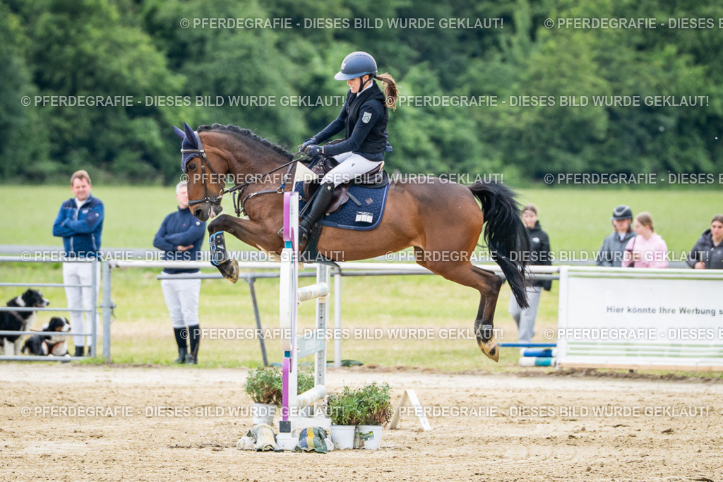 DSC05494 | Pferdegrafie