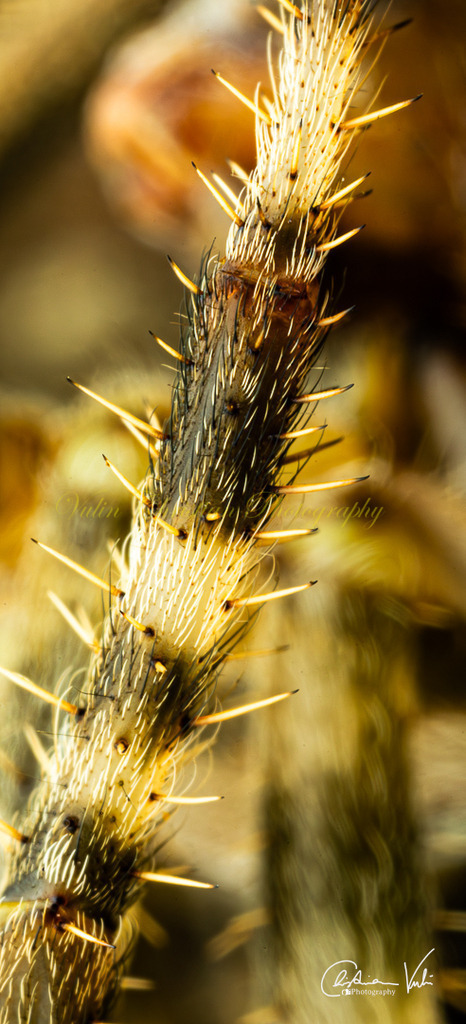 ULMA 59 | Christian Vulin  - Realisiert mit Pictrs.com