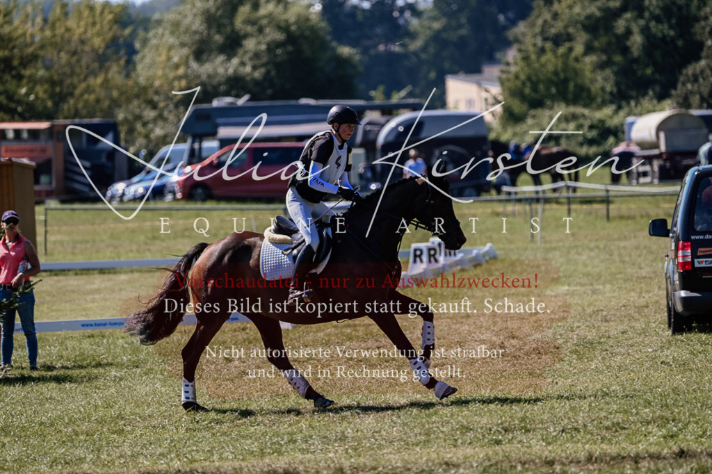 DSC_1451 | Pferde- und Turnierfotografie in Westsachsen. Pferdeportraits, Auftragszeichnungen und intuitive Kunst.