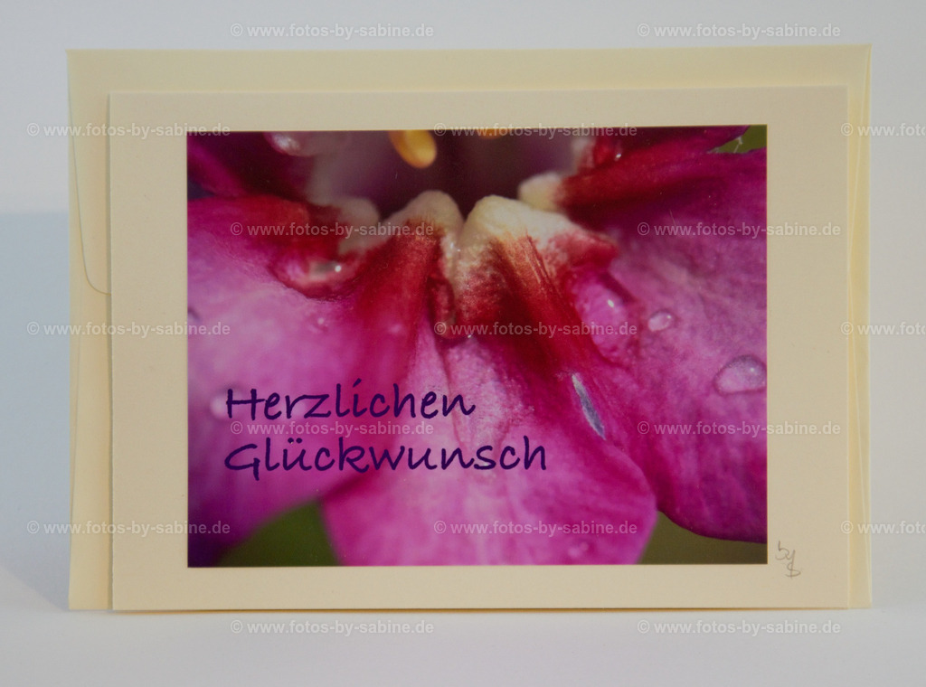 DSC_9061 | fotos-by-sabine - Realisiert mit Pictrs.com