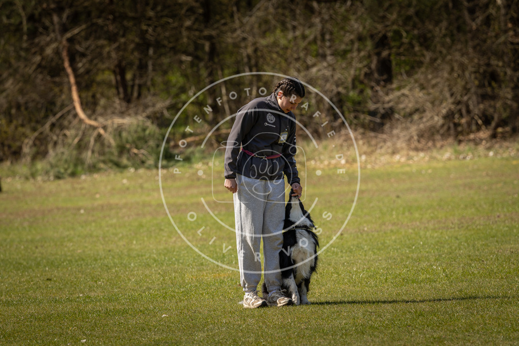 Pfotenfotografie_DV3A1058 | Hundefotografie, Tierfotograf, Pfotenfotografie, Fotoshooting Hund, Hunde Portrait, Hundesport, Hundeportraits, Heideshooting, Hunde, Sportfotograf, Hundefotograf, Turnierhundsport, THS,  - Realisiert mit Pictrs.com