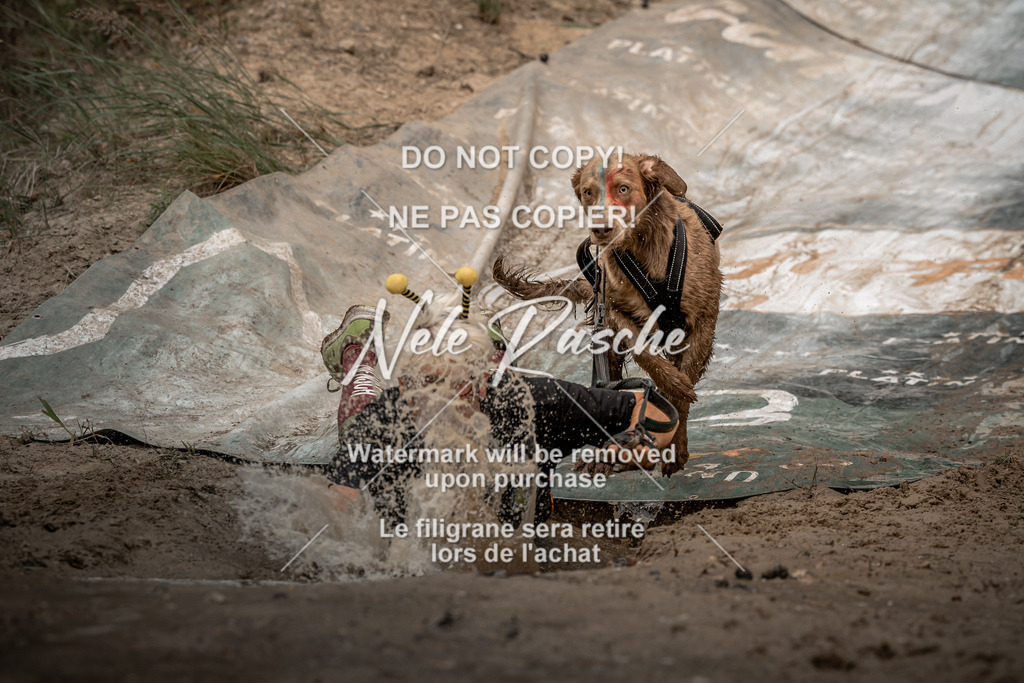 nelerasche_sa1345-1430_99 | nelerasche