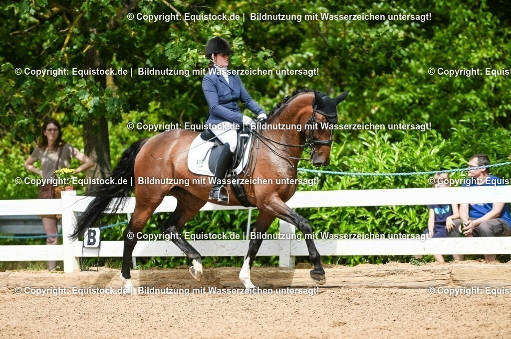 20230716_01_Dressurprüfung Kl.M_0172 | equistock