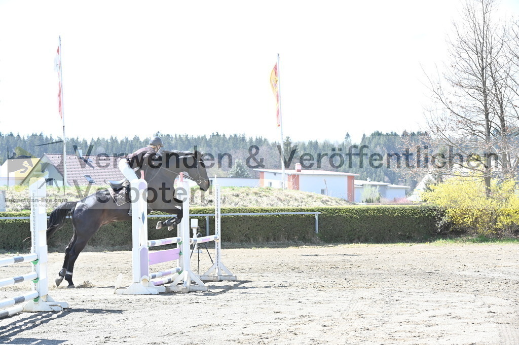 DSC_5160 | equestrian-live-com