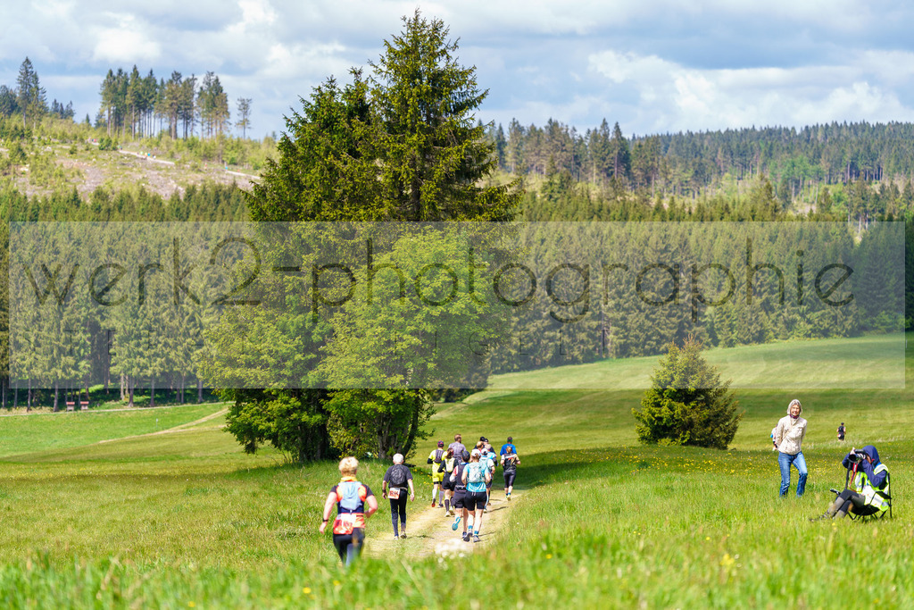 Rennsteiglauf Marathon 2025 | Marathon von Neuhaus/Rwg. nach Schmiedefeld/Rstg. am 17. Mai 2025