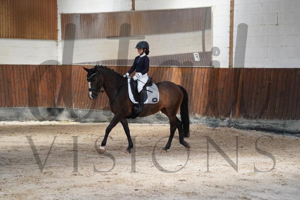 beckingen (454) | d.tail Visions - Shop - Realisiert mit Pictrs.com