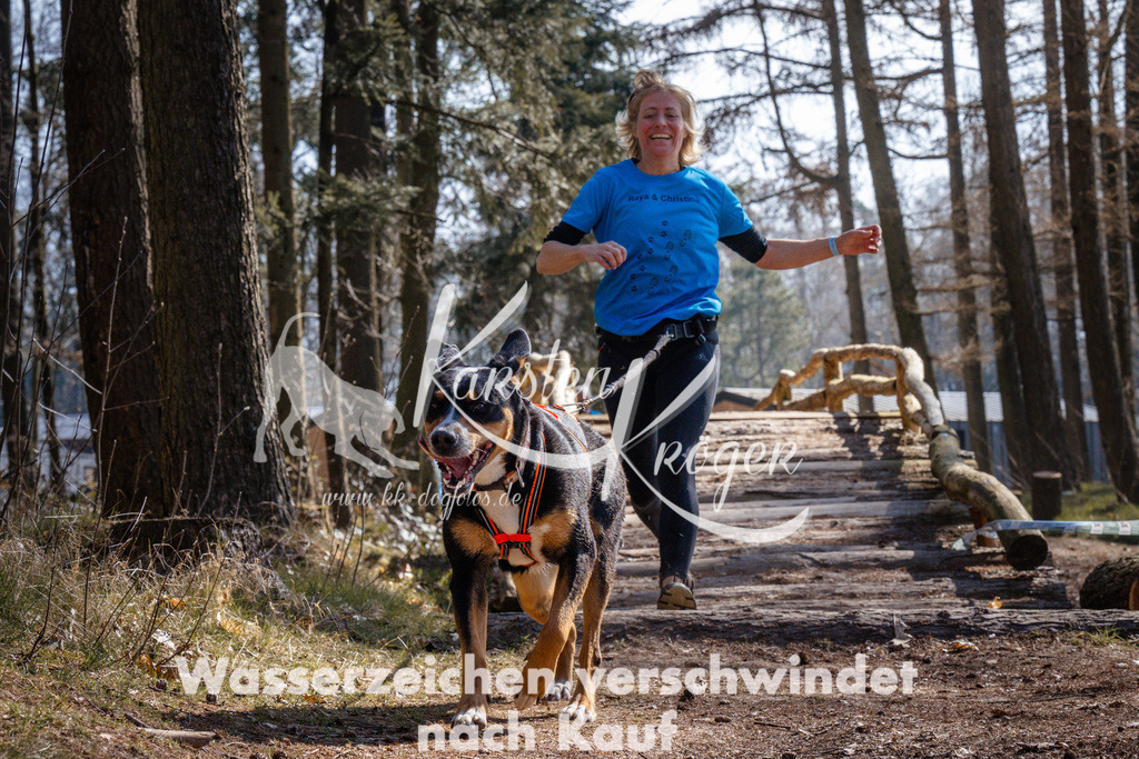 1334_ZZ95644 | kk-dogfotos