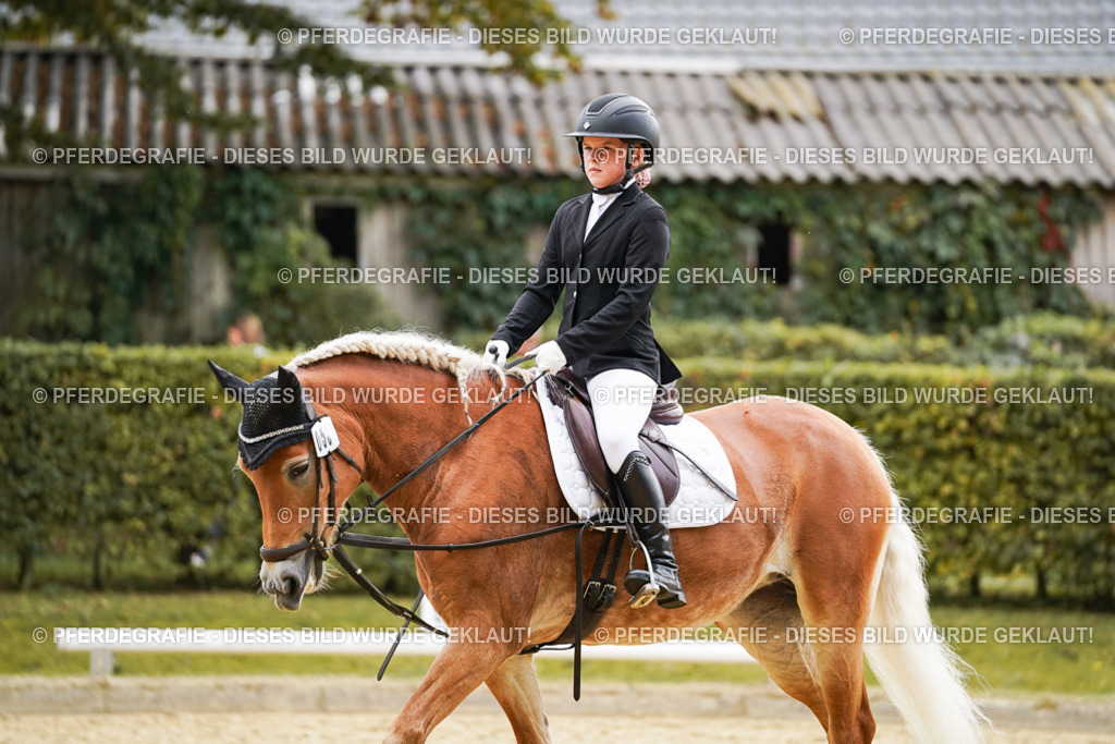 DSC00589 | Pferdegrafie