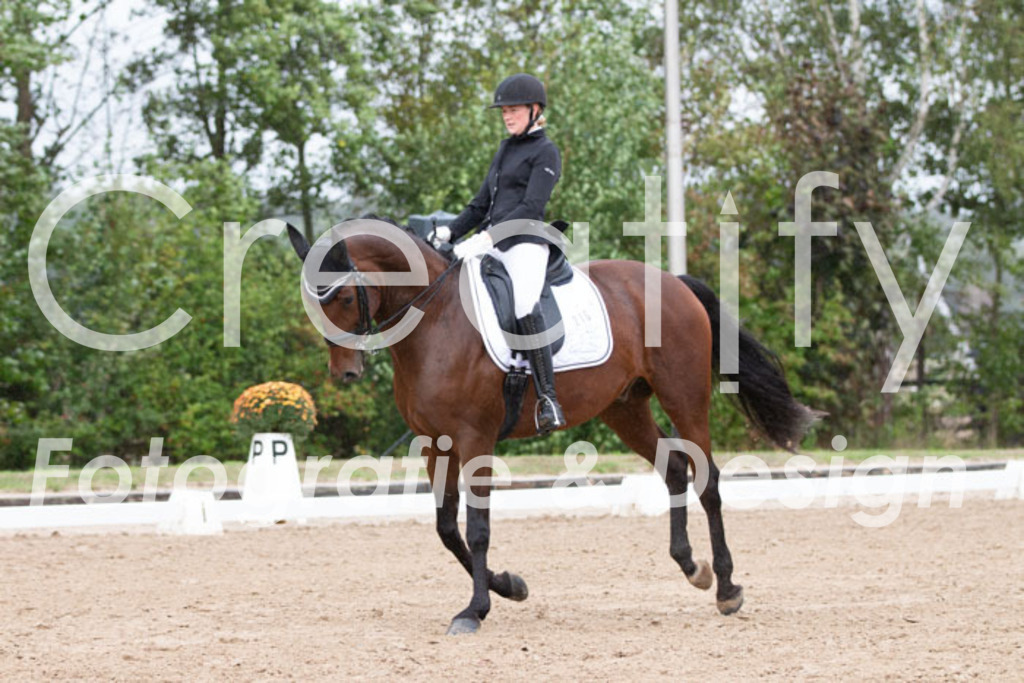 IMG_7189 | Creatify Fotografie