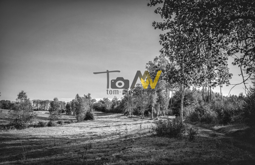 wanderweg-harz_swx | Hochauflösende und hochwertige Bilder und Fotos.Kommerzielle oder private Nutzung ✔ Bilder downloaden✔ Acryl ✔ Leinwand ✔ Poster ✔
 - Realisiert mit Pictrs.com