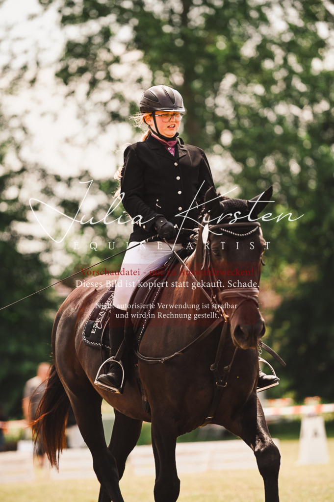 DSC_6173 | Pferde- und Turnierfotografie in Westsachsen. Pferdeportraits, Auftragszeichnungen und intuitive Kunst.