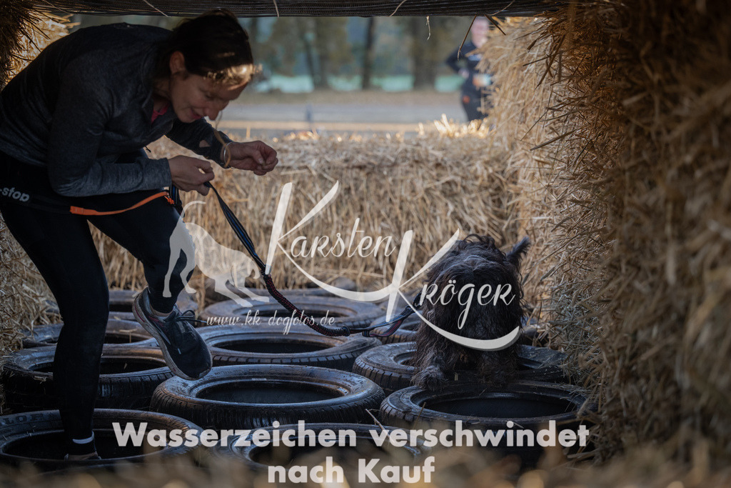 0937_ZZ93935 | kk-dogfotos