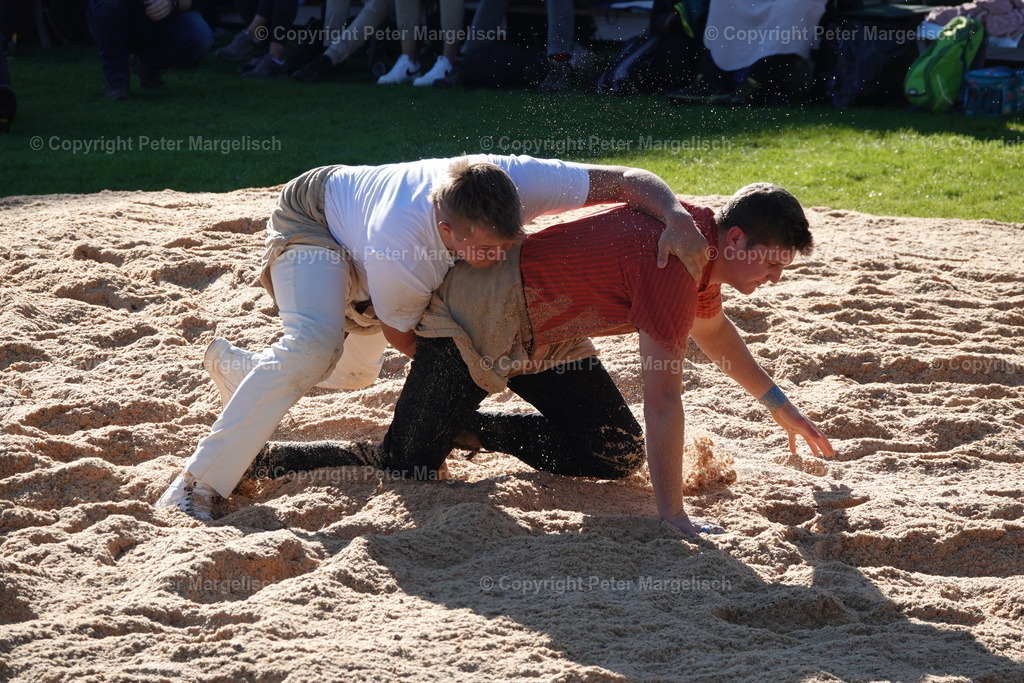 DSC01964 | Schwingen - Realisiert mit Pictrs.com