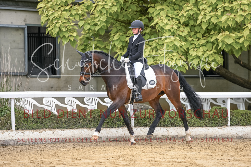 Schugtsche-Aluta25-43.EDressur -13 | Schugtsche Fotografie - Realisiert mit Pictrs.com