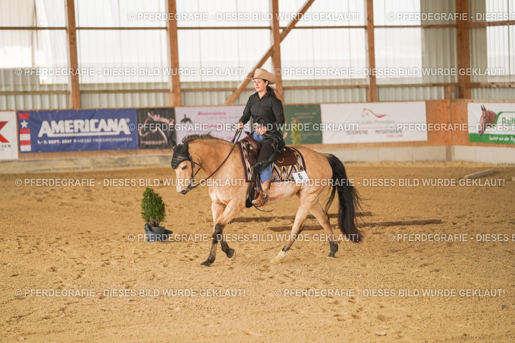 DSC01510 | Pferdegrafie